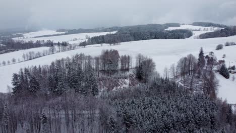 Schneebedeckte-Ländliche-Landschaft-Tschechiens-Mit-Nadelwald,-Lkw-Links