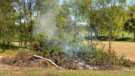 A-brush-fire-burning-up-a-pile-of-branches-and-rubbish