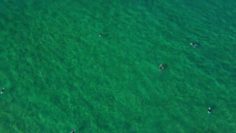 Surfers-Surfing-At-Blue-Green-Water-Of-Ocean---Cabarita-Beach-In-NSW,-Australia