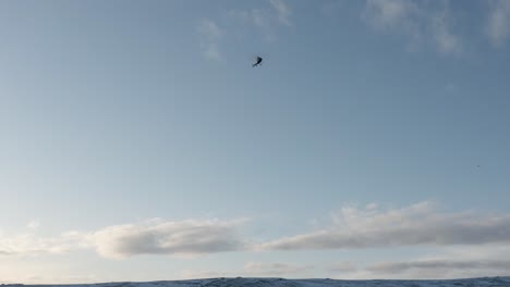 Helicopter-taking-off-from-remote-Iceland-region-with-clear-sky-as-background