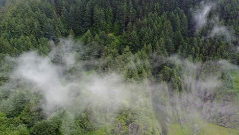 4k-30fps-Luftaufnahmen-Oregon-Coast-Wolken-über-Redwood-Forest---Statische-Aufnahme-In-Der-Nähe-Der-Küstenstraße-Route-101---DJI-Drohnenvideo