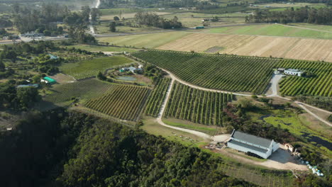 Panorama-De-Tierras-De-Cultivo-Verdes-En-El-Campo-De-Ciudad-Del-Cabo-En-Sudáfrica