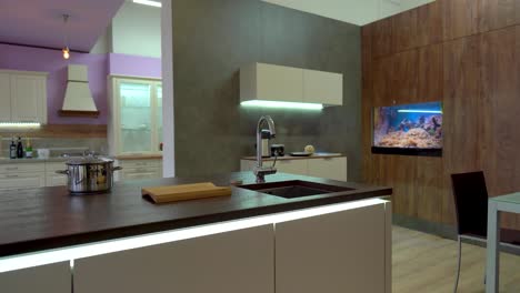modern-kitchen-interior-with-a-fish-tank,-truck-right