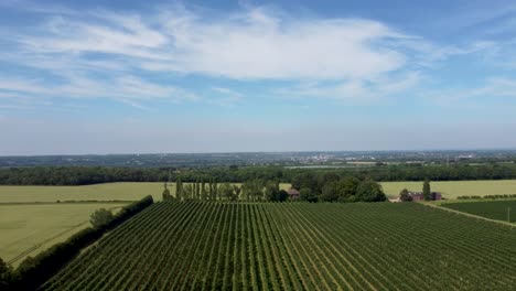 4K-wide-angle-footage-from-a-drone-flying-over-an-apple-orchard-in-Chartham,-Kent