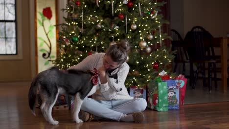 Woman-Hugs-and-Pets-Cute-Husky-Puppy-While-Sitting-Under-Christmas-Tree