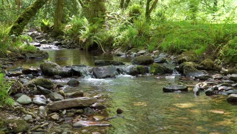 4K-view-of-some-cristal-clear-water-flowing-down-the-Horner-river-in-the-Horner-woods-in-the-middle-of-the-national-park-of-exmoor,-30ffs