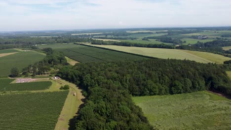 4K-Aufnahmen,-Die-über-Wälder-In-England-Fliegen