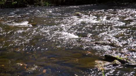 Süßwasser,-Das-Den-Fluss-Teign-Im-Nationalpark-Dartmoor-Hinunterfließt
