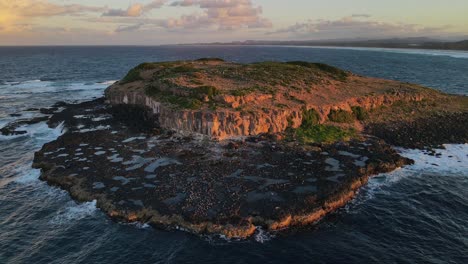 Aerial-View-Of-Cook-Island-At-Dusk---Cook-Island-Nature-Reserve-In-The-Coast-Of-Fingal-Head,-NSW,-Australia