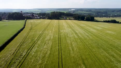 4K-footage-flying-over-a-barley-field-in-Kent-countryside