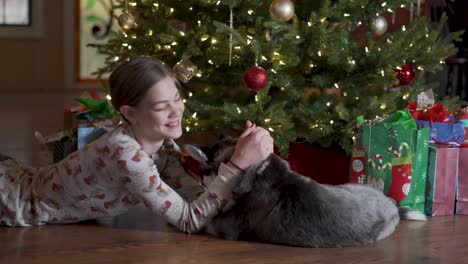 Adorable-Cachorro-Husky-Siberiano-Lame-La-Cara-De-Una-Chica-Rubia-Bajo-El-árbol-De-Navidad