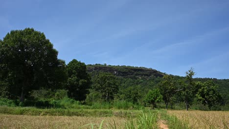 Reisfelder-Und-Kalksteinberg