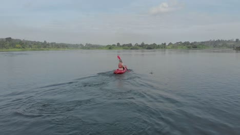 Aerial-shot-tracking-a-man-from-behind-as-he-paddles-on-a-red-kayak-on-the-river-nile