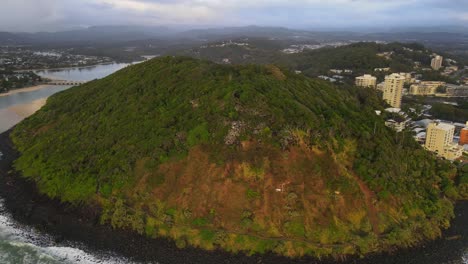 Dense-Vegetation-At-The-Burleigh-Heads-National-Park-In-Australian-State-Of-Queensland