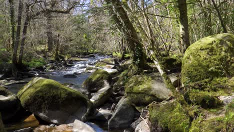 Agua-Dulce-Que-Fluye-Por-El-Río-Teign-En-El-Parque-Nacional-De-Dartmoor