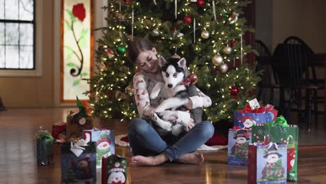 Junges-Mädchen-Bekommt-Siberian-Husky-Welpen-Zu-Weihnachten