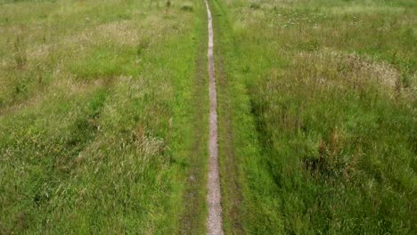 A-worn-out-natural-footpath-going-through-marshland