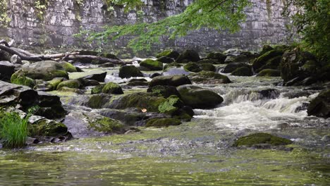 Subtiles-Wasser,-Das-Flusssteine-In-Den-Rauchigen-Bergen-In-Tennessee-Hinunterstürzt