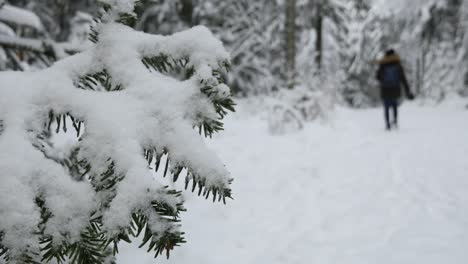 Mujer-Caminando-Más-Allá-De-Una-Rama-De-árbol-Cubierta-De-Nieve-En-Un-Bosque-Invernal,-Fondo-Borroso