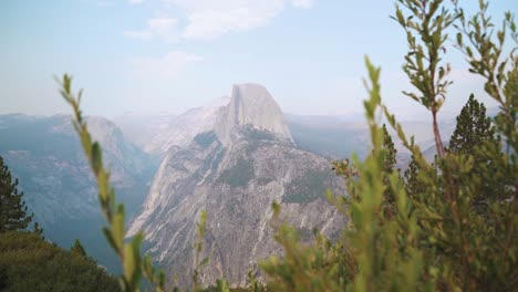 Langsamer-Schuss-In-Richtung-Half-Dome-Durch-Grüne-Zweige,-Yosemite-Nationalpark