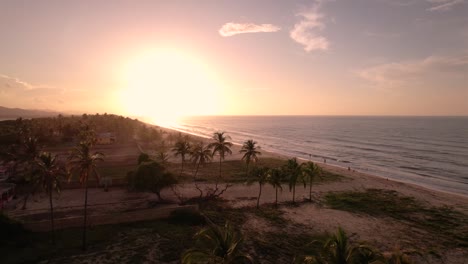 Drone-flying-over-coconut-palm-trees-towards-sunset-in-a-Caribbean-Sea-beach-in-Venezuela