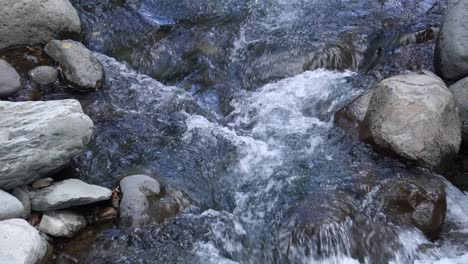 Wasser-Fließt-Im-Bett-Eines-Kleinen-Flusses-Im-Wald