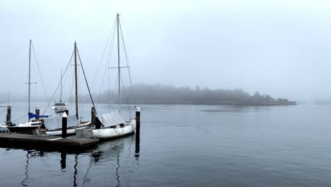 Boats-Moored-In-Marina-On-A-Misty-Morning-In-Balmain-East,-Sydney,-NSW,-Australia