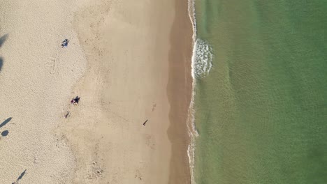 Aerial-perspective-of-half-golden-sand-and-half-aqua-green-sea-ocean