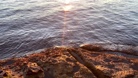 Sunrise-View-On-The-Rocks-By-The-Water-Of-Botanical-Gardens-In-NSW,-Australia---low-angle-shot