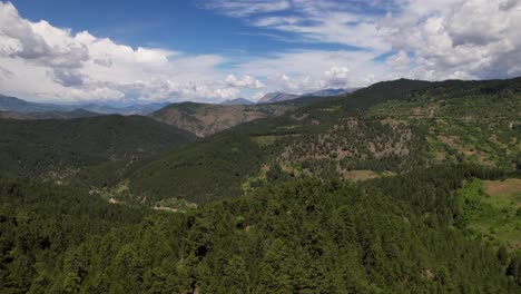 Evergreen-forest-with-pine-and-spruce-trees,-beautiful-clouds-over-wilderness-mountain-landscape-in-Albania