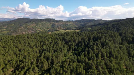 Enormes-Bosques-De-Pinos-Verdes-Y-Prados-Cubren-Las-Laderas-De-Las-Montañas-En-Un-Día-Nublado-De-Verano-En-Voskopoja