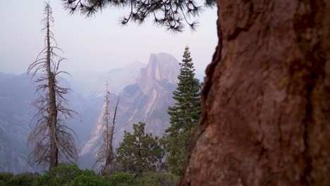 Half-Dome-and-Smokey-Sky-Reveal-From-Behind-Tree,-Slow-Slide-Pan-Left