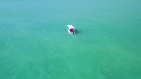 Drohnen-Luftvideo-Eines-Delphins,-Der-Bei-Sonnenuntergang-Von-Einem-Schnellboot-Im-Türkisfarbenen-Wasser-Des-Golfs-Von-Mexiko-Schwimmt