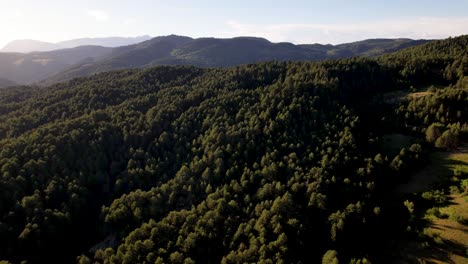 Enorme-Bosque-Salvaje-Con-Pinos-En-La-Ladera-De-La-Montaña-Al-Atardecer-En-Albania