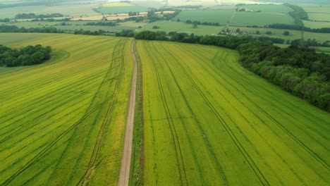 Aerial-View-Of-Green-Flowerless-Field-In-The-Trundle,-West-Sussex,-England-At-Spring