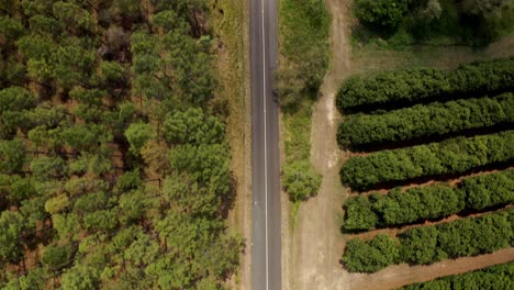 Topdown-View-Of-Asphalt-Road-With-Lush-Vegetations-At-Summer-In-Sunshine-Coast-Region,-Queensland,-Australia