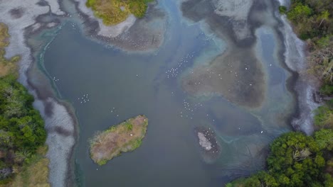 Aerial-drone-shot-of-a-tropical-lagoon,-full-of-lively-birds,-with-stagnant-water