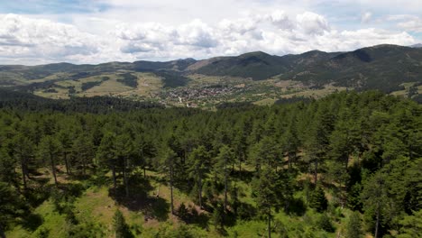 Pine-forest-and-hills-around-old-village-of-Voskopoja,-mountains-and-clouds-in-background