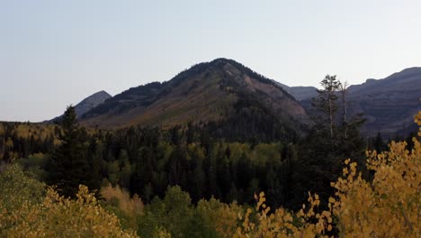 Eine-Drohne-Fliegt-An-Einigen-Goldgelben-Espenblättern-Vorbei-Und-Enthüllt-An-Einem-Herbsttag-Auf-Der-Alpine-Loop-In-American-Fork,-Utah,-Einen-Wunderschönen-Grünen-Und-Gelben-Wald-Mit-Einem-Großen-Felsigen-Berg-Im-Hintergrund