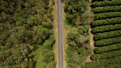Vista-Aérea-Cinematográfica-De-Arriba-Hacia-Abajo-De-La-Carretera-Rural-En-La-Región-De-La-Costa-Del-Sol-En-Qld,-Australia---Disparo-De-Drones