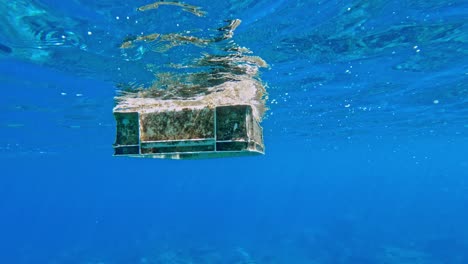 Plastic-Crate-Covered-With-Moss-Floating-In-The-Ocean