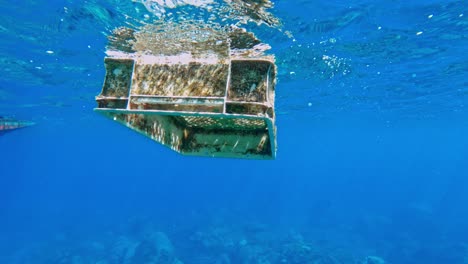 Caja-De-Plástico-Rectangular-Cubierta-De-Musgo-Flotando-En-El-Mar-Azul-Profundo