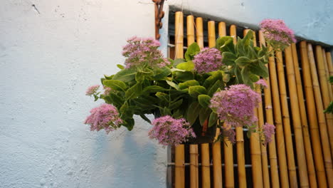 Planta-Colgante-En-Maceta-Con-Flores-Rosas-En-El-Patio-Al-Aire-Libre-Cerca-De-La-Ventana-De-Bambú,-4k