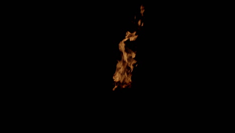Gas-burning-fire-flame-isolated-on-black-background,-vfx-element