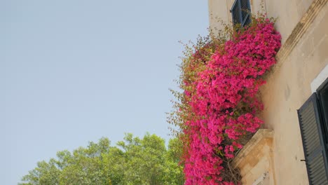 Hausgebäude-Mit-Außenblumen