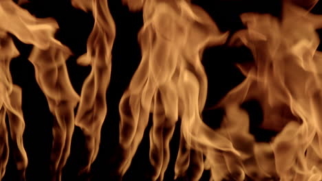 Brennendes-Feuer,-Das-Vor-Isoliertem-Dunkelschwarzem-Hintergrund-Flammt