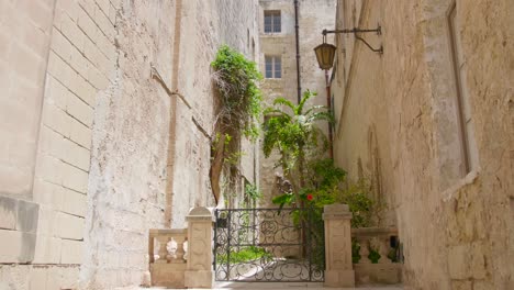 Medieval-architectural-building-wall-with-vegetation-in-Mdina,-Malta