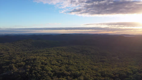 Aerial:-Flying-over-thick-forest-and-bushland-during-sunrise-in-Sydney,-Australia