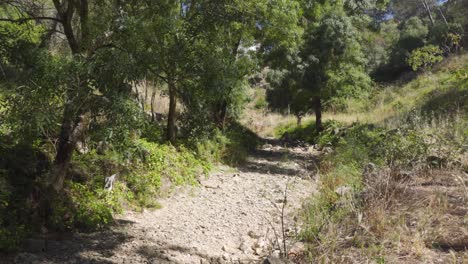Upwards-Panning-Shot-of-a-Dry-Riverbed-during-a-Summer-Drought-in-Portugal