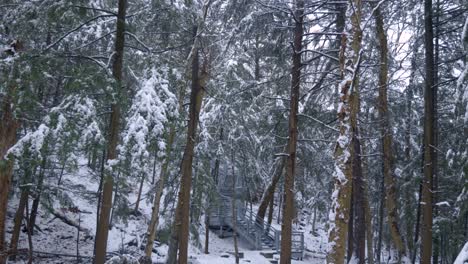 Steep-metal-Staircase-leading-through-a-snow-covered-forest-with-tall-Evergreen-trees-along-a-hiking-trail
